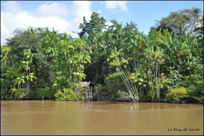 Quel est le fleuve le plus long passant en France ?