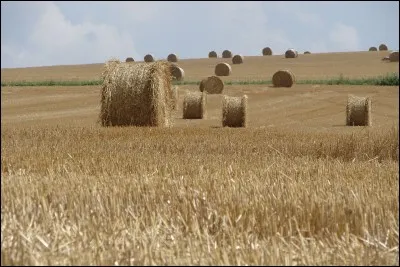Quel relief convient le mieux à la présence de champs ?