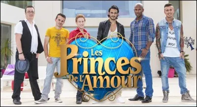 "Les Princes de l'amour" passe sur M6.