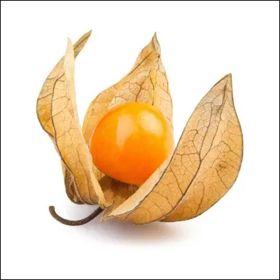 L'autre nom du Physalis est "Amours-en-suffrance".