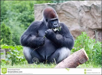 Il vous salue bien !