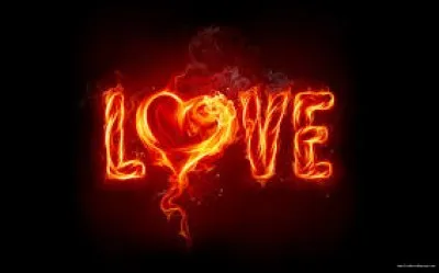 Tristan et Yseut ont bu un philtre d'amour.