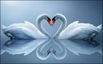 Nabilla a été dans "L'amour est aveugle".