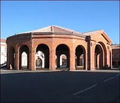 Vous avez sur cette image la halle de Saint-Lys. Ville de l'aire urbaine Toulousaine, elle se situe dans le département ...