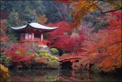 Quel est le régime politique du Japon ?