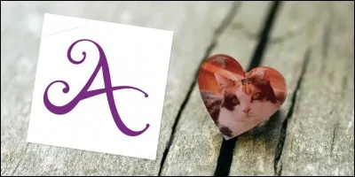 Dans le style de Jane99, cette question va parler des mots en A comme "Amour".
Quel mot correspond à la définition : le temps à venir ?