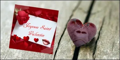 Enfin, je termine ce quiz en pensant à Jeffcoop qui écrira sans doute aux membres "Bonjour et bonne Saint-valentin pour toi et tes proches. Amitiés, Jean-François."
A la Saint-Valentin, qui envoie des flèches pour créer les couples ?