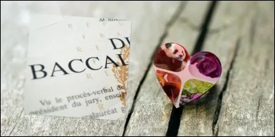 J'imagine bien la talentueuse MarinaDance nous créer un beau quiz de culture générale autour de l'amour.
Lequel de ces bacs est le plus riche en connaissances de culture générale ?