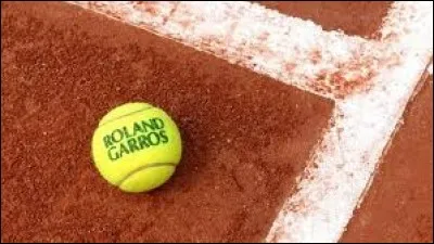 Qui a gagné Roland Garros H en 2016 ?