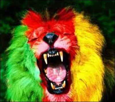 Quelle équipe de football a pour surnom "Les Lions indomptables" ?