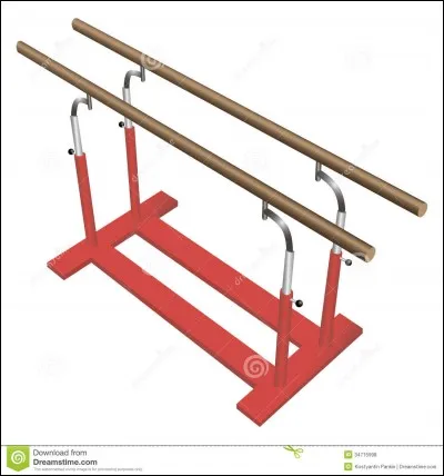 Les deux barres sur la photo sont...