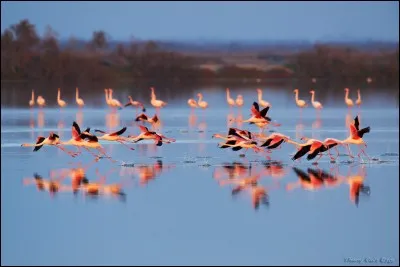 C'est une charge communale !