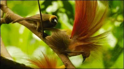 Cette r&eacute;ponse peut vous mener en bateau !