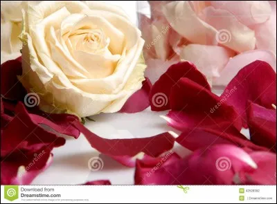 La prisonni&egrave;re du dessert !