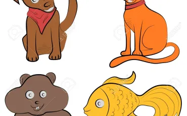 Quiz Animaux