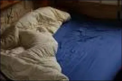 "le lit défait" est l'histoire d'un amour exclusif, celui d'Edouard pour Béatrice. Qui en est l'auteur ?