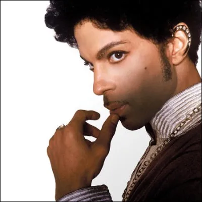Quel est le nom de l'album de Prince sorti en 2004 ?