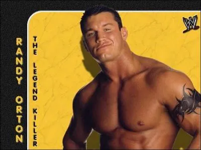 Quel est ce catcheur ?