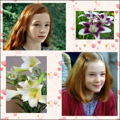 Prénom de la mère d'Harry Potter séduite par James Potter comme par Severus Rogue puis prénom de la fille d'Harry Potter, il vient d'après son origine latine de la fleur de lys !