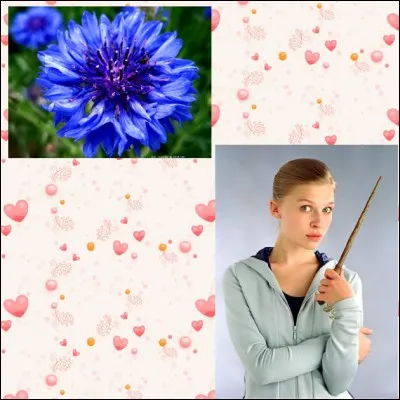 Retrouvez le prénom de cette séduisante Française qui utilisera sa beauté pour cacher son mauvais caractère comme certaines fleurs arrivent à cacher leur dangerosité face à leurs prédateurs naturels !