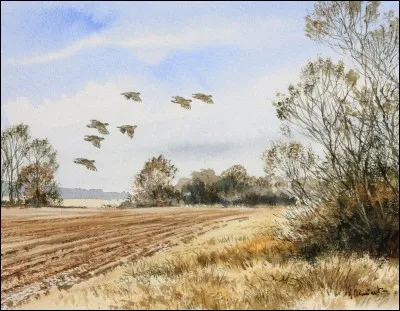 Dans la chanson de Delpech, quel vol décrit-il survolant les champs ?