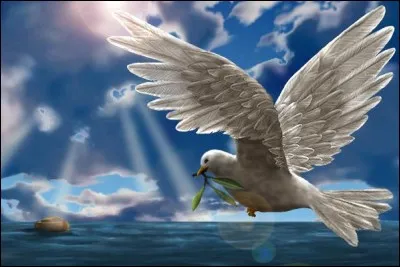 Que tient la colombe, symbole de paix, dans son bec ?