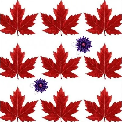 Dans quel pays trouve-t-on LA ruisseau à l'Oiseau ?