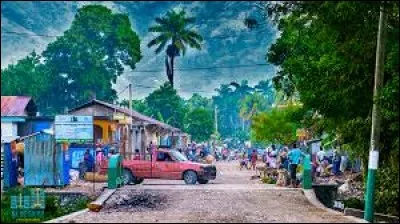 Outre le cr&eacute;ole, quelle est l'autre langue officielle de la R&eacute;publique d'Ha&iuml;ti ?