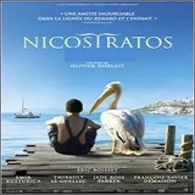 Le personnage de ce film qui a noué une relation amicale avec un pélican se prénomme Nicostratos.