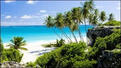 Quel emblème figure sur le drapeau de la Barbade ?