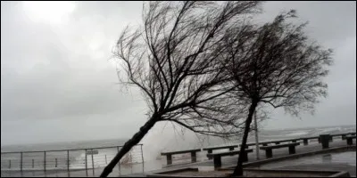 Quel est ce vent de nord-ouest à nord qui souffle sur le Languedoc-Roussillon ?
