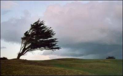 Quel est le nom du vent du sud sec, chaud et violent soufflant sur l'Afrique du Nord ?