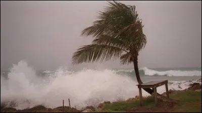 Quel est le nom de ce vent d'ouest doux, agréable et chaud ?