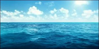 Quel est le plus vaste océan du monde ?