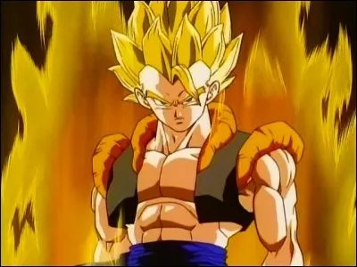 Comment s'appelle la fusion de Vegeta et Goku ?
