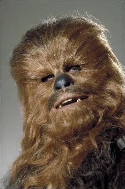 À quelle espèce appartient Chewbacca ?