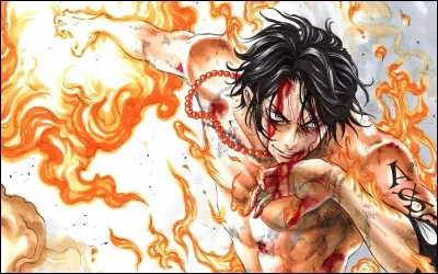 Qui est Ace par rapport à Luffy ?