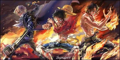 One Piece est une histoire de...