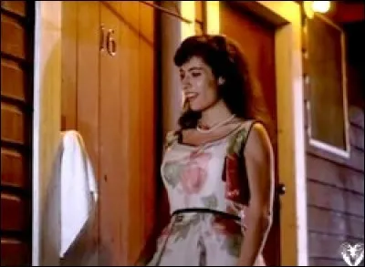 Avec qui Liza a-t-elle eu une aventure ?