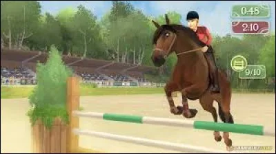 Quelle cavalière a donné son nom à une célèbre série de jeux vidéo sur l'équitation ?