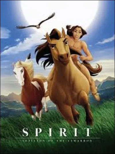 Où se déroule le film d'animation "Spirit, l'étalon des plaines" ?