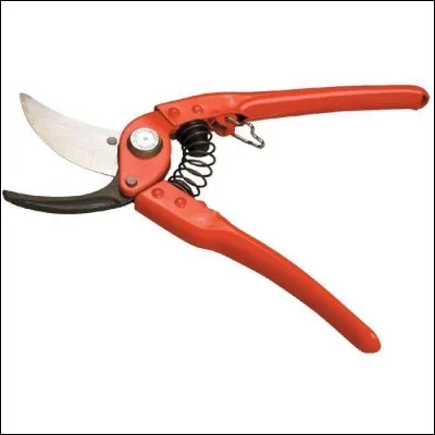 Le sécateur est utilisé pour :