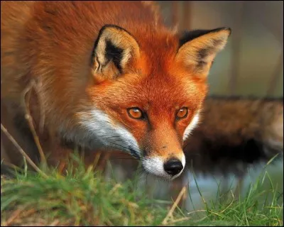 Quelle est la bonne réponse ?