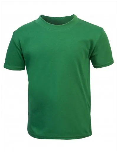 Quel t-shirt mettras-tu demain ?