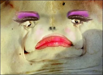 Si je vous dis : « Divise certains chefs », vous répondez :