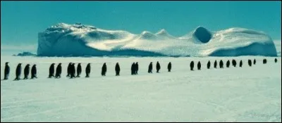 Le film documentaire "La Marche de l'empereur" met en scène des...
