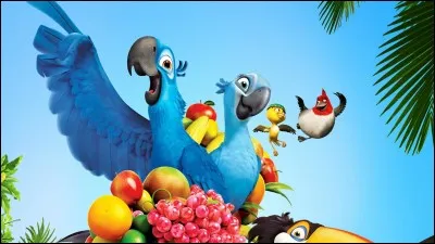 Le film "Rio" met en scène deux aras de Spix, Perla et Blu. 
Vrai ou faux ? Cette espèce de perroquets est de nos jours en danger critique d'extinction.