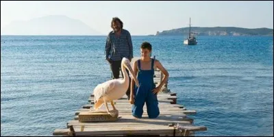 Quelle est la race de Nicostratos ?