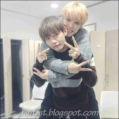 V et Jimin sont nés la même année.