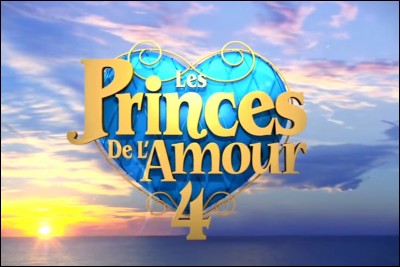 Sur quelle chaîne est diffusée l'émission "Les Princes de l'amour" ?